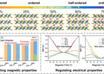 Intercalation regulates the atomic structure and property of Fe1+xSe2