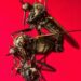 Dance flies mating