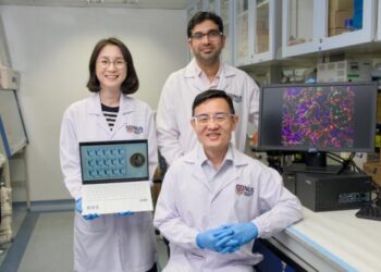 NUS scientists develop realistic ‘micro-gut’ model to study the relationship between gut microbes and human diseases
