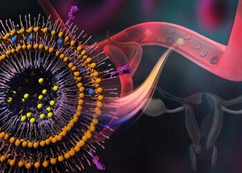 Polymersome with MTX