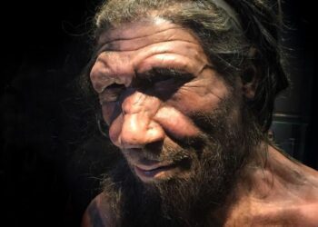 Life appearance of a male Neanderthal