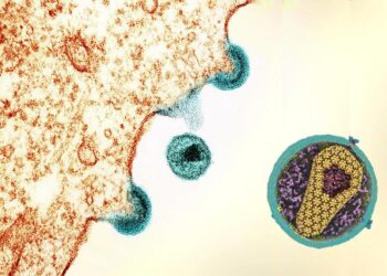 New Therapy May Effectively Control HIV in Uganda
