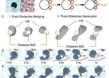 Autonomous behaviors of chemotaxic biomimetic liquid metallic leukocytes