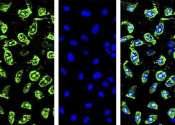 Revolutionary Drug Screening Technique Promises Solutions to Delivery and Efficacy