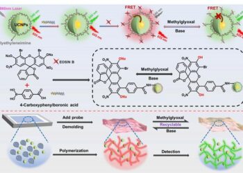 Innovative Fluorescent Sensor Developed for Precise Monitoring of Methylglyoxal