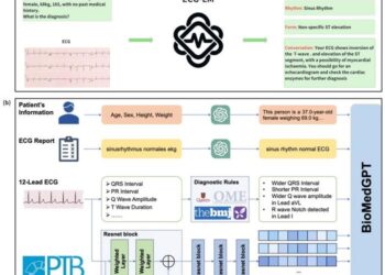 ECG-LM Framework