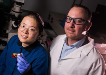 Rice scientists create tiny, water-based reactors for green chemistry