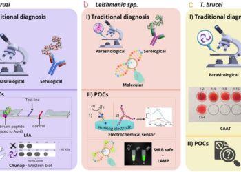 Traditional Diagnosis and New POCs for Diseases Caused by Trypanosoma cruzi, Leishmania spp., and Trypanosoma brucei.