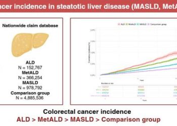 Colorectal cancer incidence among patients with steatotic liver disease