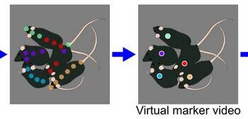 vmTracking enables accurate identification in crowded environments