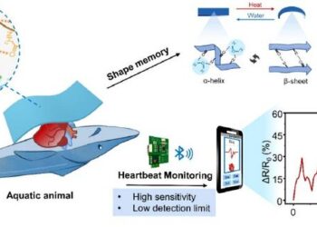Graphical abstract