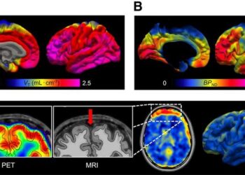 PET protein atlases for various [11C]MC1 positron PET imaging metrics targeting COX-2.