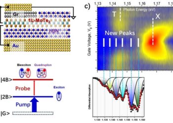 Figure | Key results and the interpretation