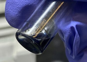 Berkelocene solution