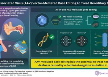 R75W single-base mutation in the gap junction β2 (GJB2) gene causes syndromic hearing loss and lacks curative therapies
