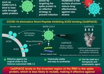 Overcoming Viral Mutations: A Universal Antiviral for SARS-CoV-2