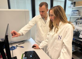 Study authors review images of treated brains