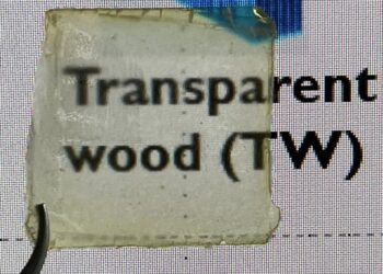 Making sturdy, semi-transparent wood with cheap, natural materials