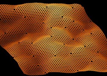 Breaking the surface: how damage reshapes ripples in graphene