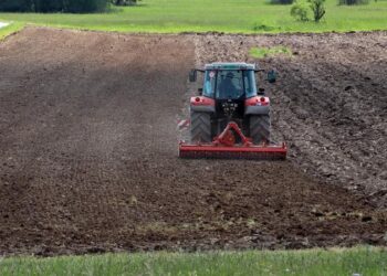 Intensive farming