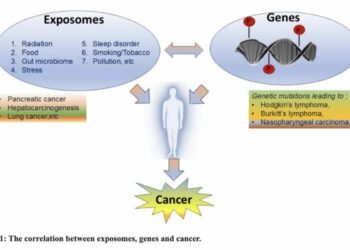 EXPOSOMES and GENES: The duo influencing CANCER initiation and progression