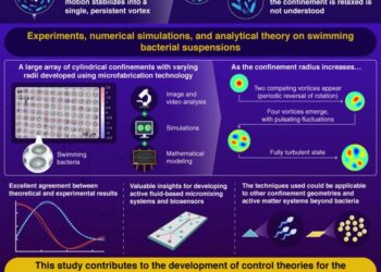 Key Insights into the Chaotic Flow of Swimming Microorganisms