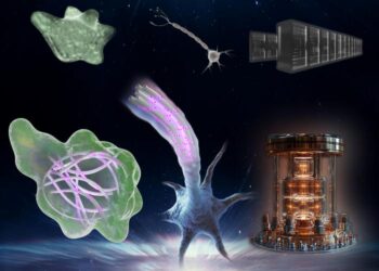 Living systems maintain information-processing architectures using photoexcited quantum degrees of freedom.