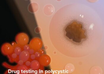 ISSCR Journal Stem Cell Reports Named Official Conference Journal for BaCell 3D Conference