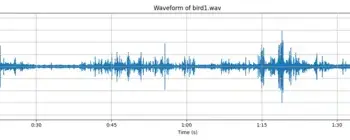 Figure 1 – Waveform of bird sound in a windy morning