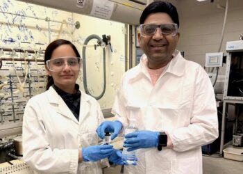 Sachin Handa and Karanjeet Kaur