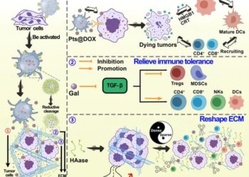 Schematic illustration of Pts@DOX/HANGs@Gal nanosystem.