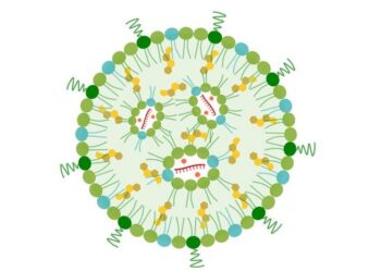 Nanoparticle