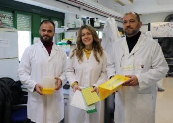 Population monitoring of the olive fly is updated with a more efficient method