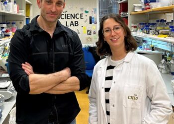 Researchers have discovered a new mechanism for rapid liver regeneration triggered by glutamate