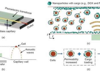 Schematics illustrating the mechanism of our acoustofluidics-based intracellular delivery device.