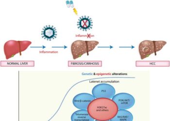 Beyond the Cure: Navigating Hepatocellular Risk and Surveillance after Hepatitis C Eradication in the Direct-acting Antiviral Era