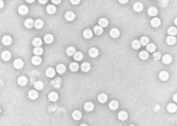 Poliovirus