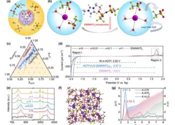 Electrolyte Structure and Performance Comparison