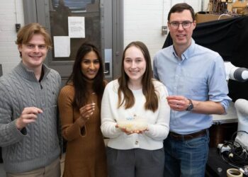 Members of the research team that designed a new set of tiny robotic tools