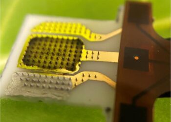 Plant patch can detect stress signals in real time