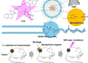 Magnetic ionic liquid nanoparticles: a breakthrough in targeted cancer therapy