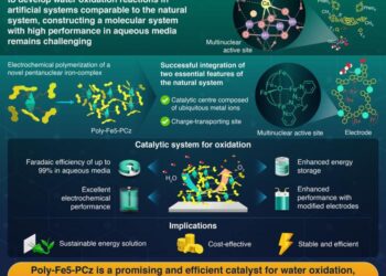 Novel Strategy to develop catalytic systems for water oxidation