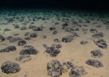 Nodules on the Pacific Ocean floor