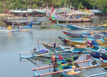 Small-scale fisheries in Southeast Asia.