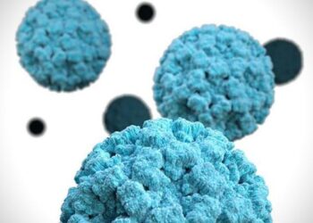 Norovirus