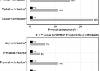 Measuring real-time violence exposure and its impact on intimate partner violence perpetration among adolescents