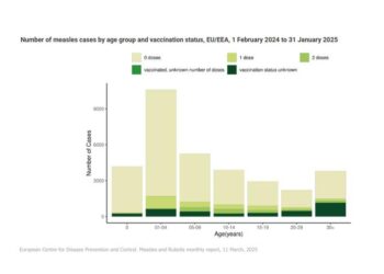 Number of measles cases by age group and vaccination status, EU/EEA, 1 February 2024 to 31 January 2025