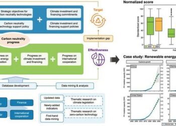 Bridging the Carbon Neutrality Implementation Gap: A Global Assessment.
