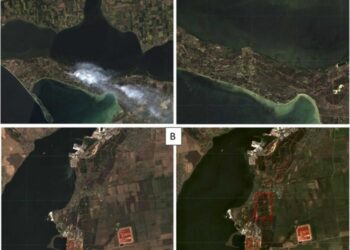 Evidence of forest loss in Ukraine