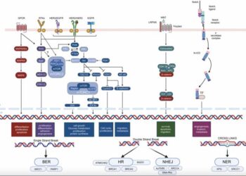 Signaling pathway dysregulation in breast cancer
